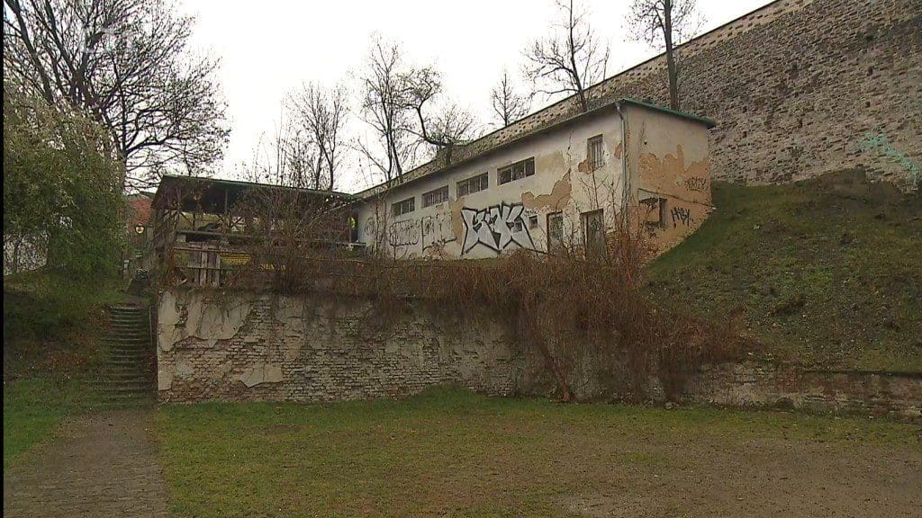 Obrázek
